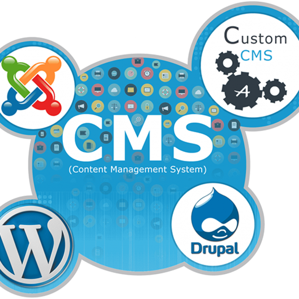 cms-customization