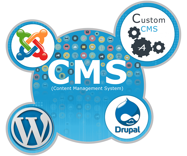 cms-customization