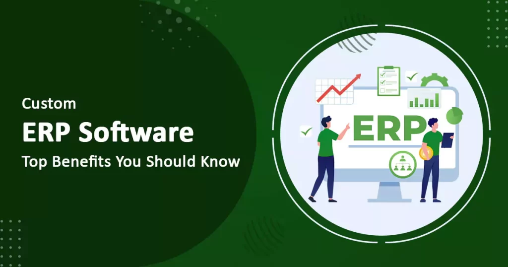 custom-erp-software-top-benefits-you-should-know