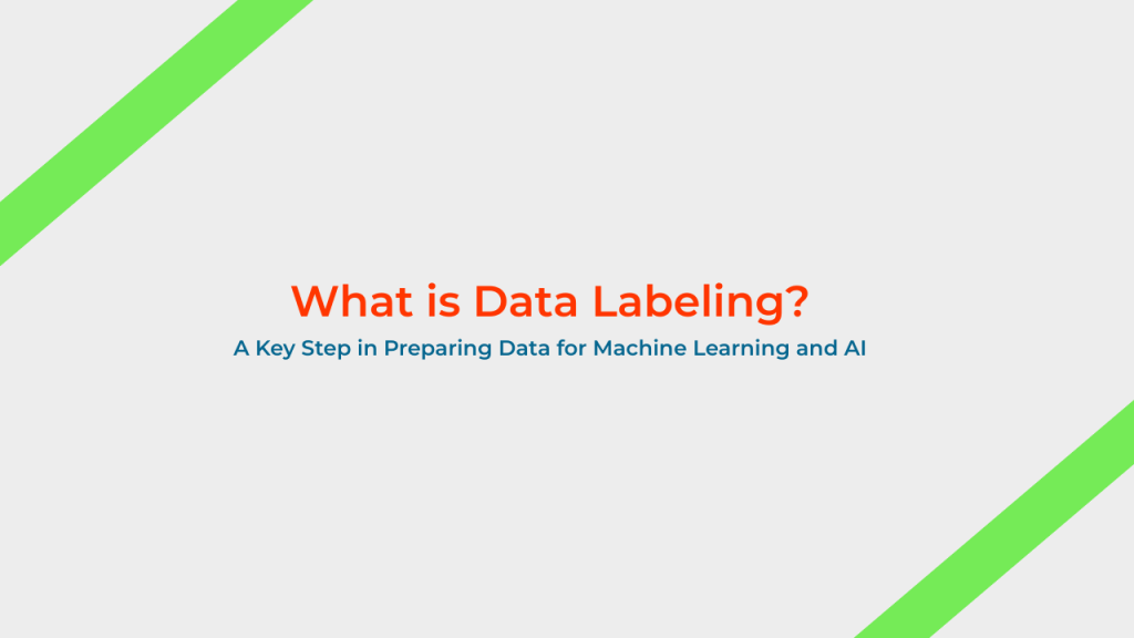 what-is-data-labeling