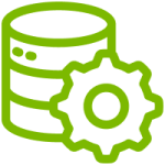 Database Setup & Management